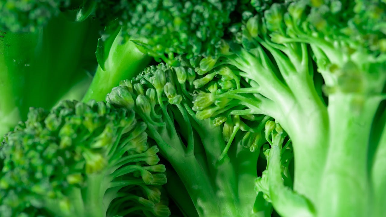 5 Plant-Based Foods for Gut Health and Digestion
